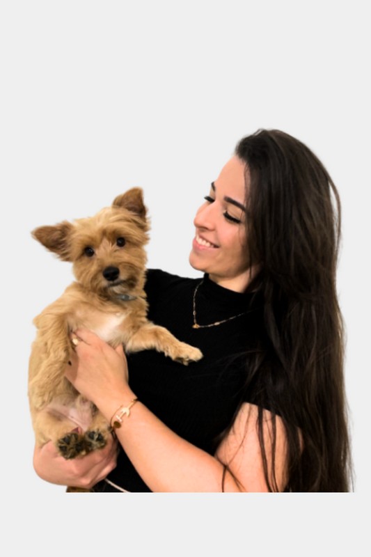 Dentista veterinário em Belo horizonte