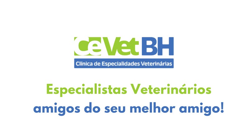 Veterinario especialista em aparelho digestivo em Belo horizonte